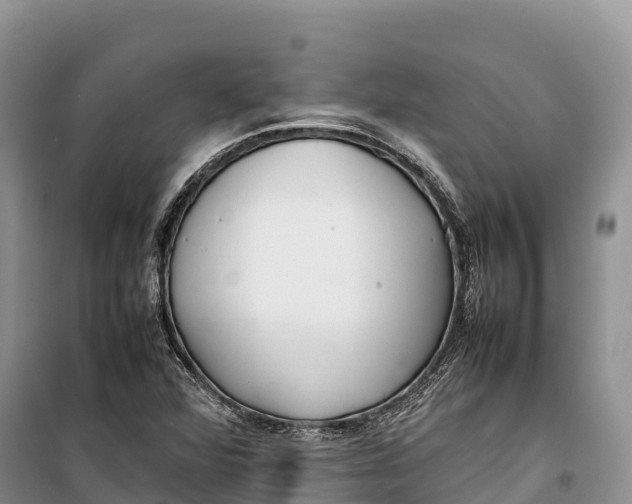 X0000099231360200805151620