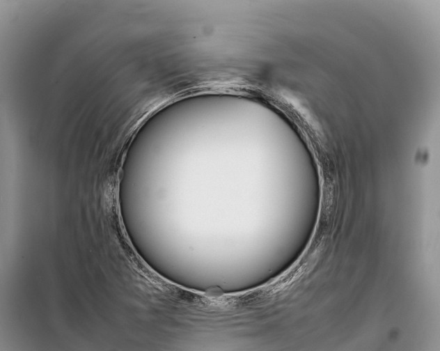 X0000099231361200805151620