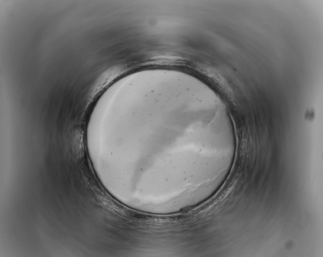 X0000099231362200805151620