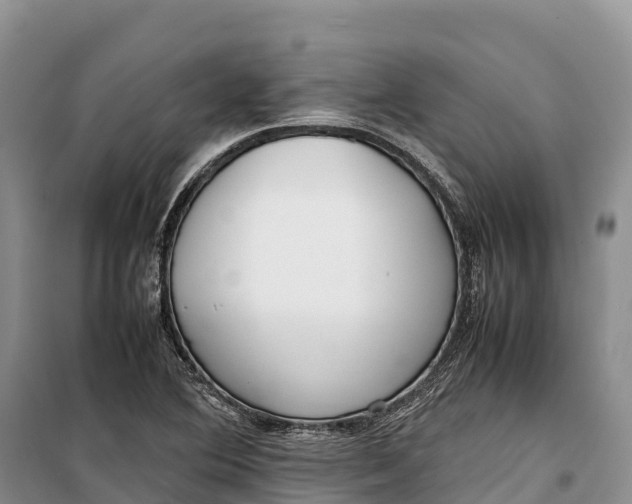 X0000099231364200805151620