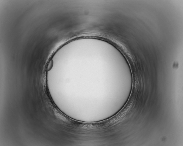 X0000099231366200805151620