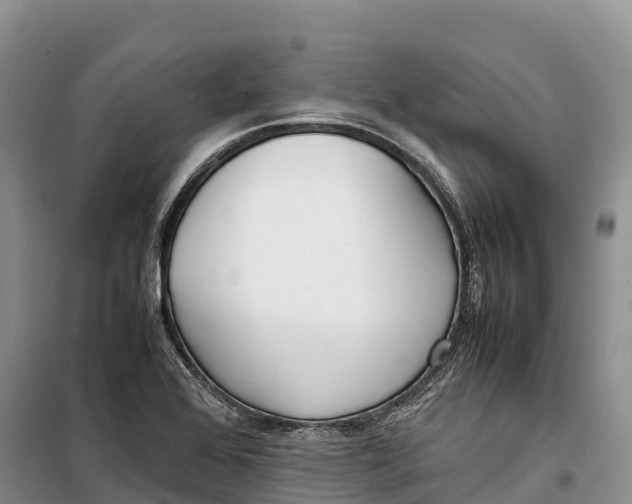 X0000099231368200805151620