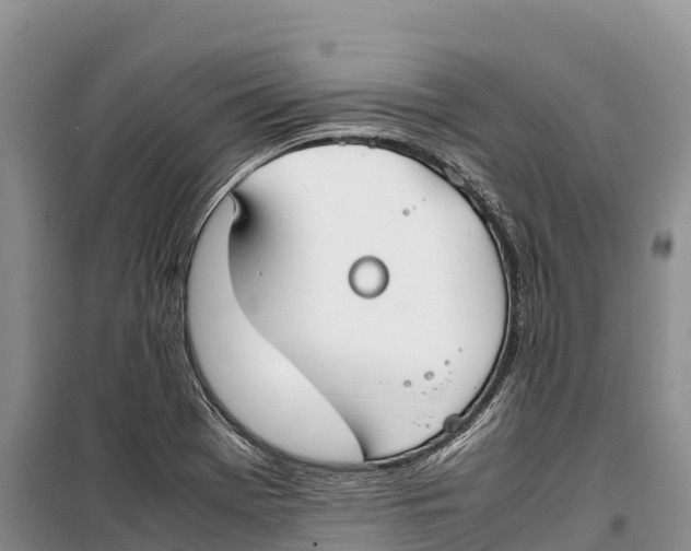 X0000099231369200805151620