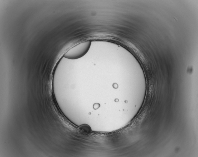 X0000099231370200805151620