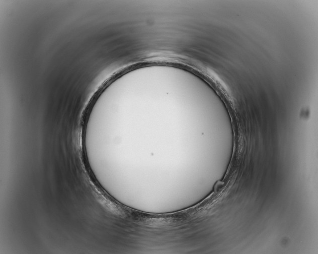 X0000099231376200805151620