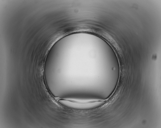 X0000099231377200805151620