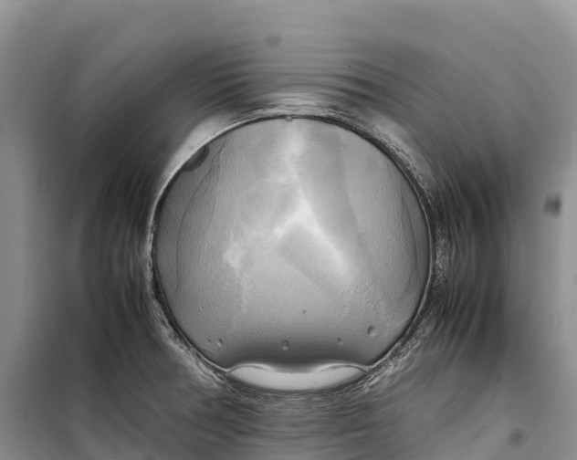 X0000099231378200805151620