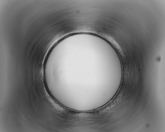 X0000099231380200805151620