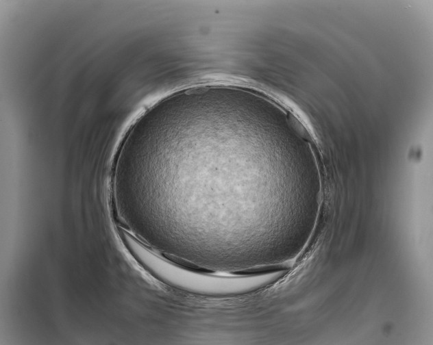 X0000099231381200805151620