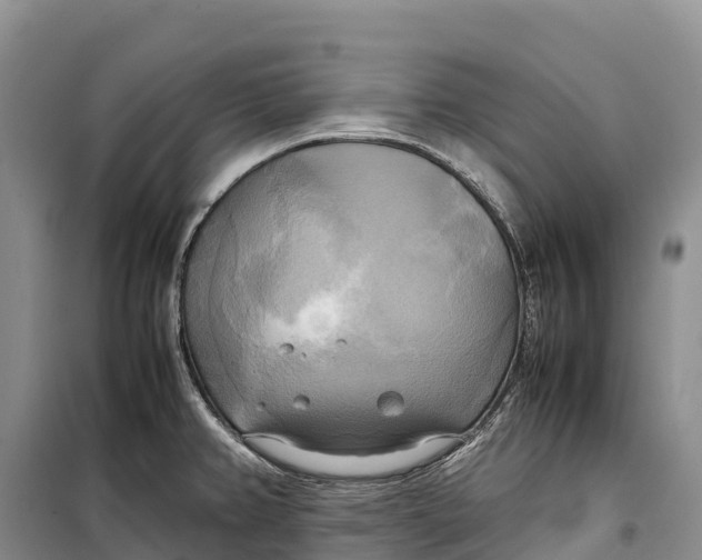 X0000099231382200805151620