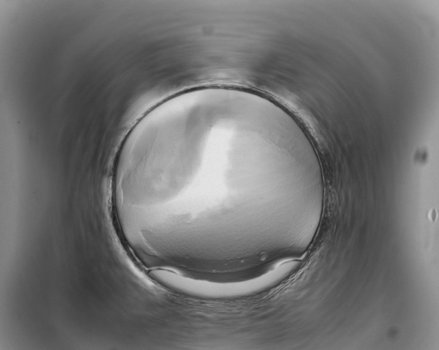 X0000099231383200805151620