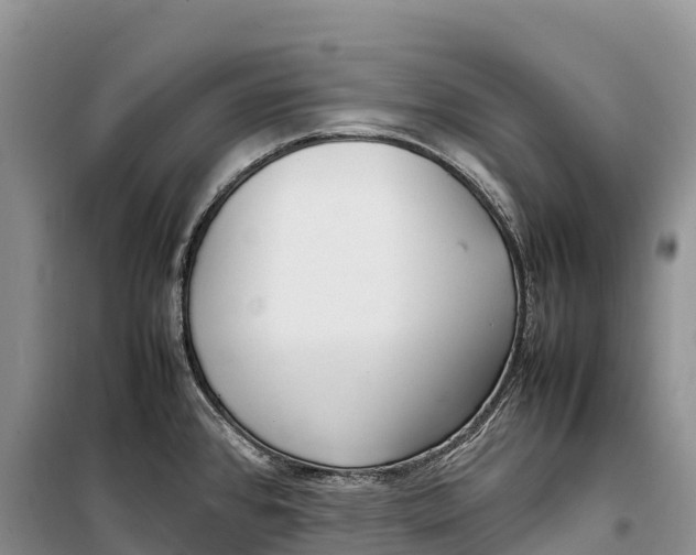 X0000099231384200805151620