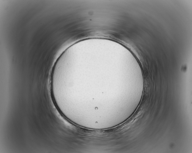 X0000099231387200805151620