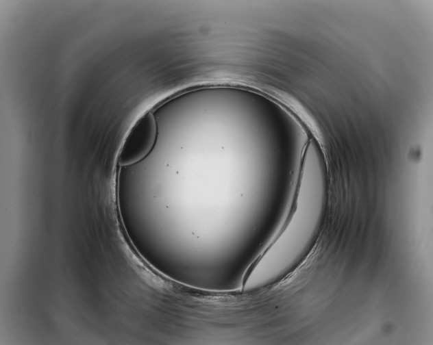 X0000099231388200805151620