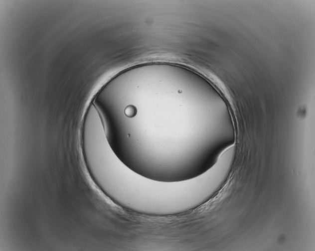 X0000099231389200805151620