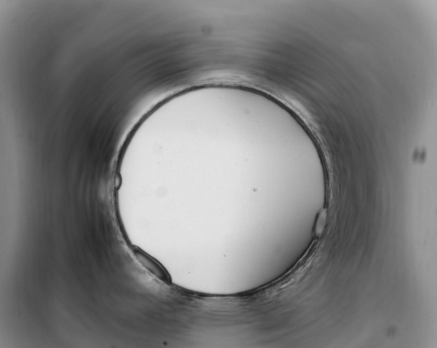 X0000099231392200805151620