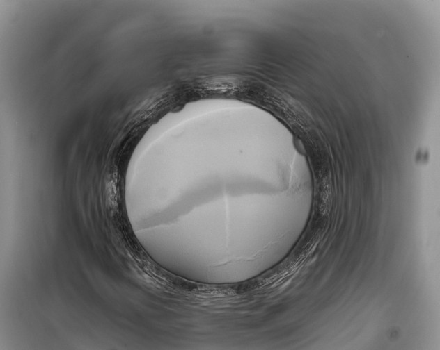 X0000099231394200805151619