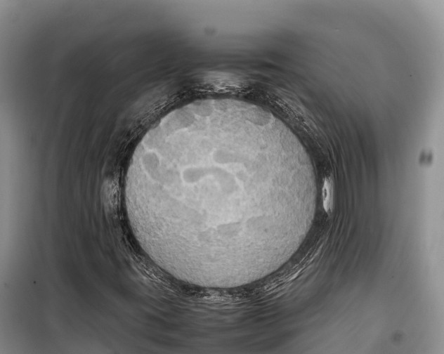 X0000099231395200805151619