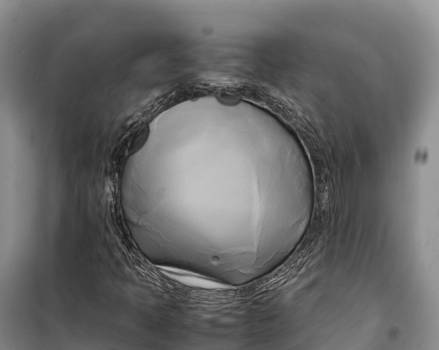 X0000099231397200805151619