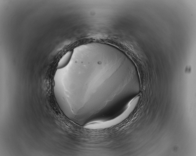 X0000099231398200805151619