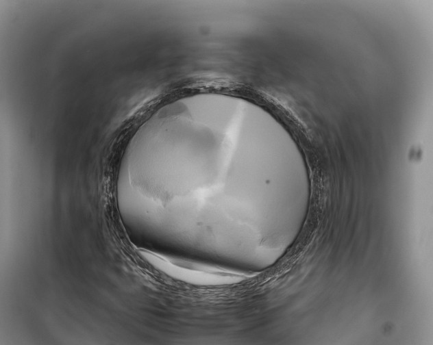 X0000099231399200805151619