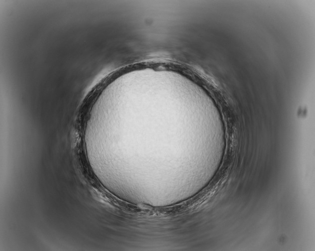 X0000099231400200805151619