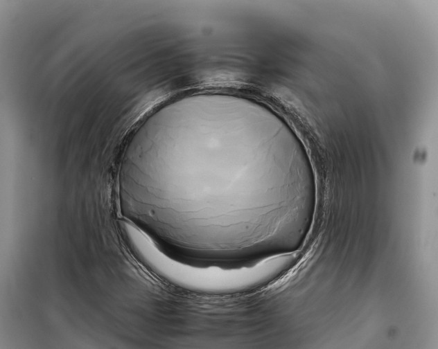 X0000099231401200805151619