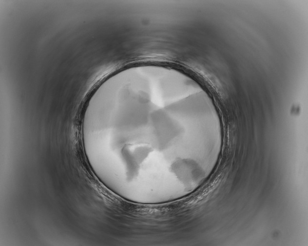 X0000099231405200805151619