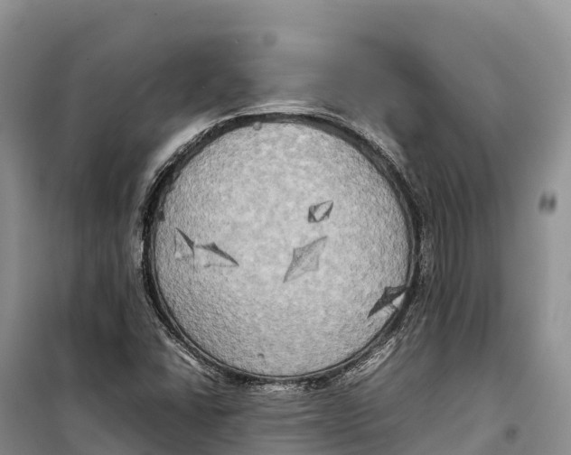 X0000099231406200805151619