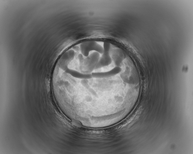 X0000099231409200805151619