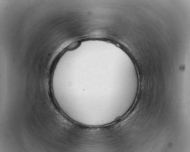 X0000099231410200805151619