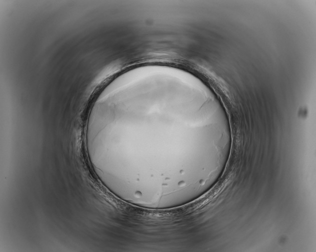 X0000099231411200805151619