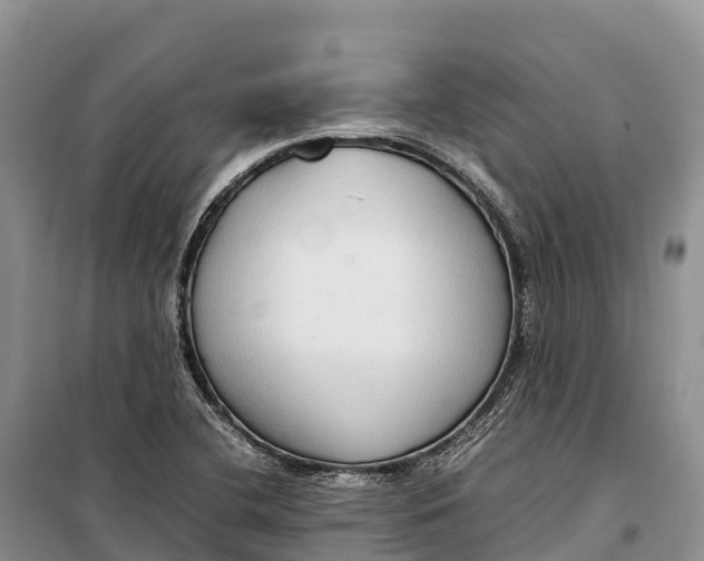 X0000099231412200805151619