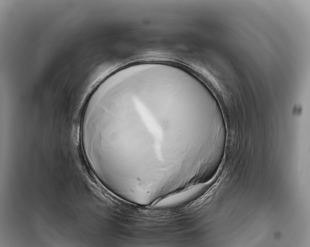 X0000099231413200805151619