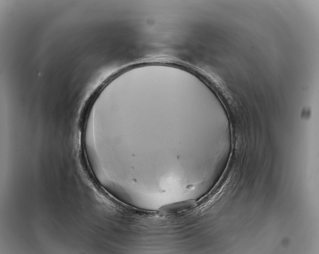 X0000099231414200805151619