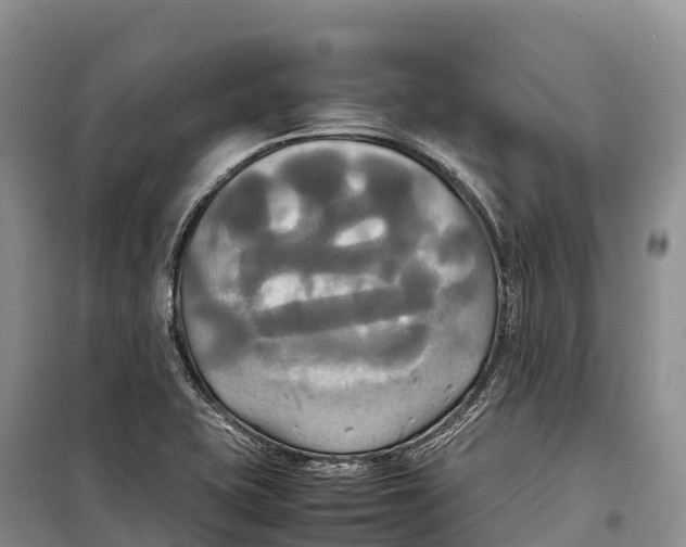 X0000099231415200805151619