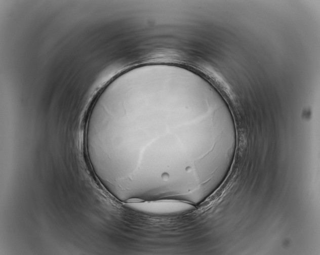 X0000099231419200805151619