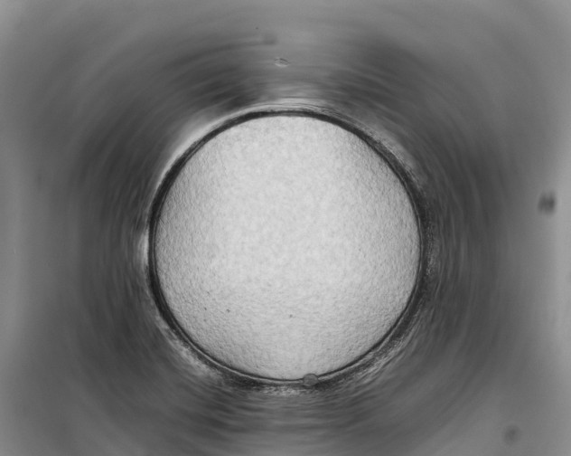 X0000099231420200805151619