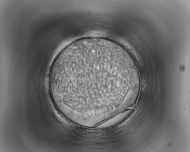 X0000099231421200805151619