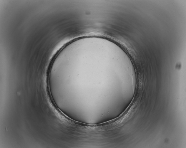 X0000099231422200805151619