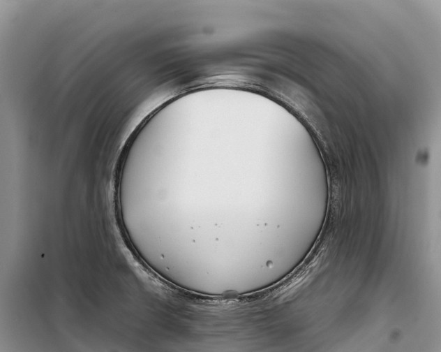 X0000099231426200805151619