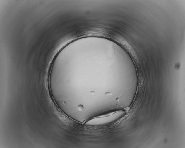 X0000099231427200805151619