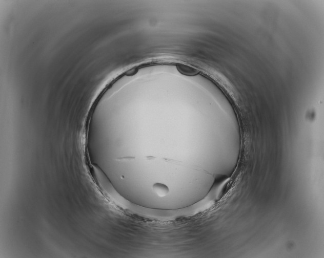 X0000099231428200805151619