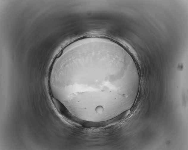 X0000099231429200805151619