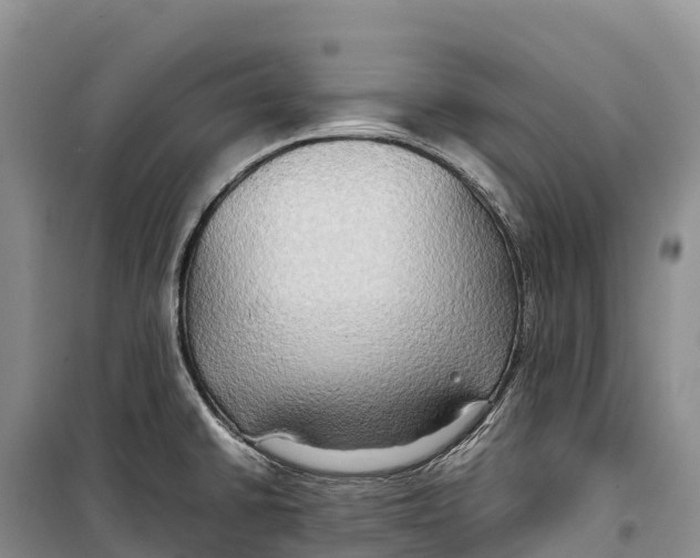 X0000099231430200805151619