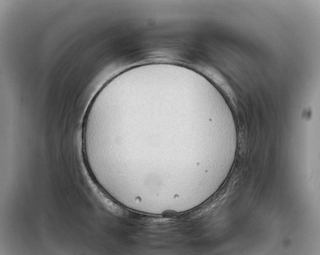 X0000099231431200805151619