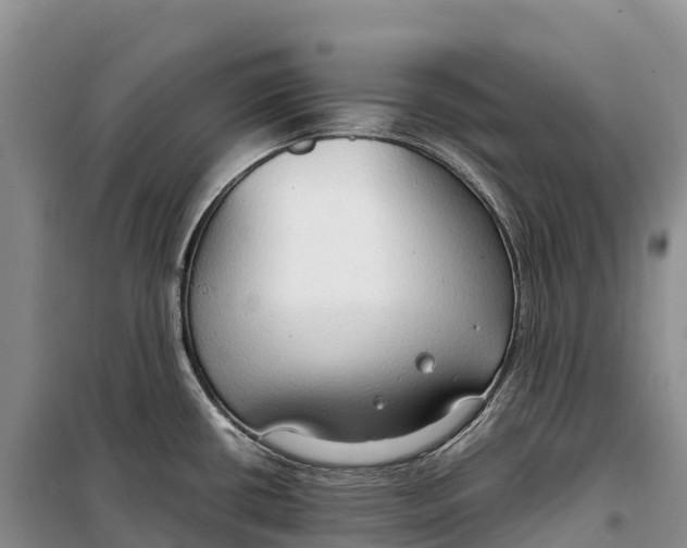 X0000099231434200805151620