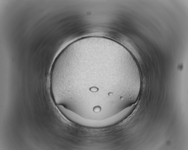 X0000099231436200805151620