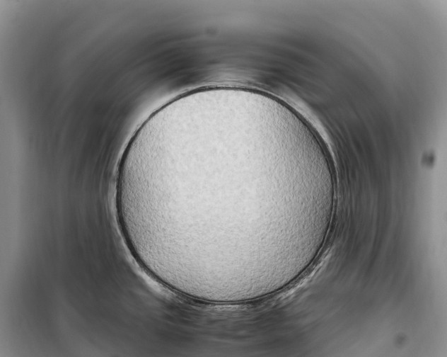 X0000099231437200805151620