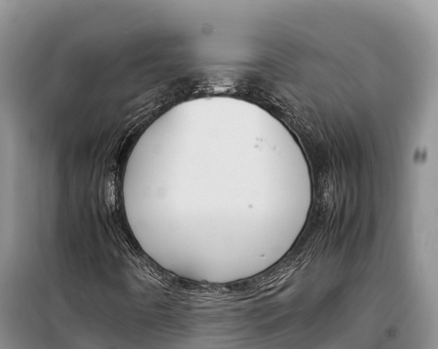 X0000099231442200805151619